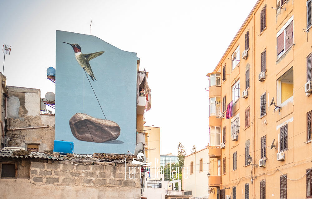 fides colibri murales buglisi foto vincenzo russo terradamare